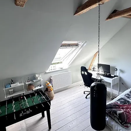 Luxurious, Private, Centrally-located Mansion Villa Copenhagen